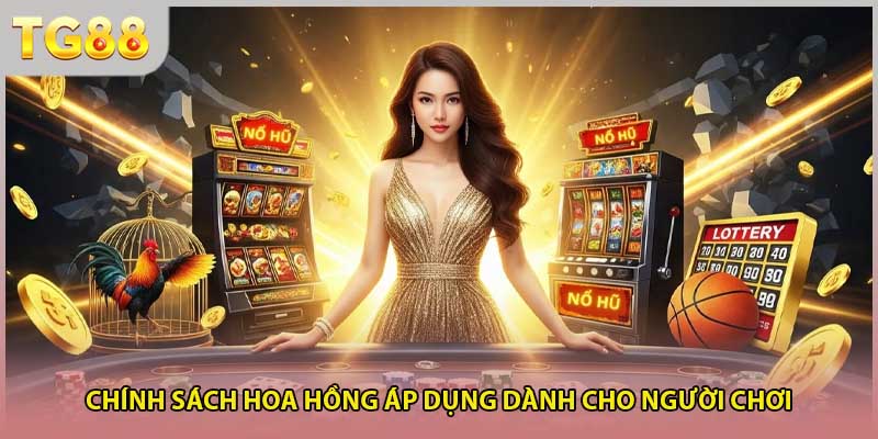 Chính sách hoa hồng áp dụng dành cho người chơi