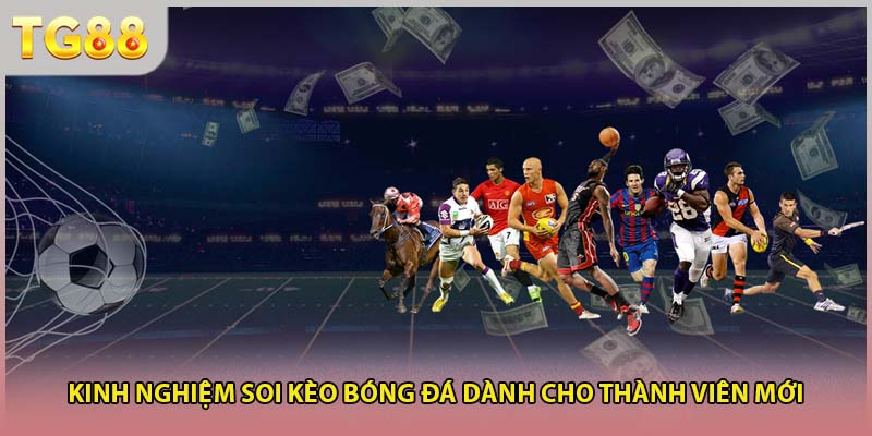 Kinh nghiệm soi kèo bóng đá dành cho thành viên mới