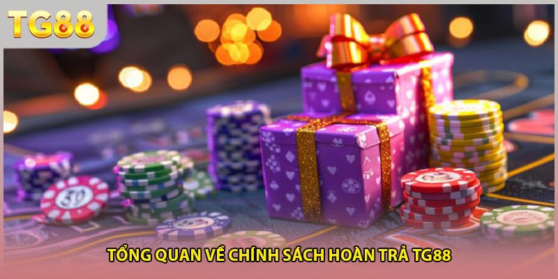 Tổng quan về chính sách hoàn trả TG88